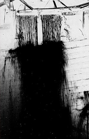 Ma Délire — Songs Of Love, Lost & Found