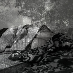 & Fantasmas