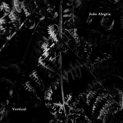 Vertical (2011​/​2021) 