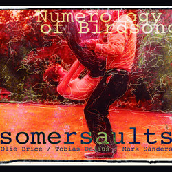 Numerology of Birdsong
