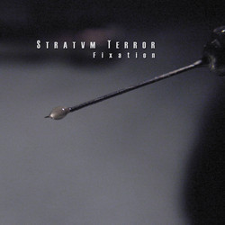 Fixation