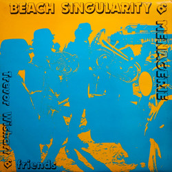 Menagerie - Beach singularity - Vocalise