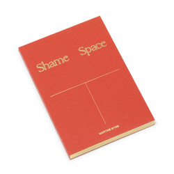 Shame Space