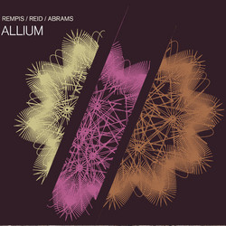 Allium
