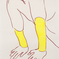 n. pecoraro 