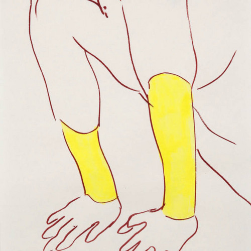 n. pecoraro 