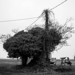 Racconti D'osservazione