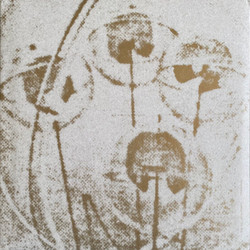 Feedback Works 1969-1970
