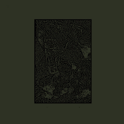 Wormwood
