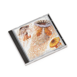 Faux-Jumeaux