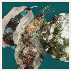 Minor Planets