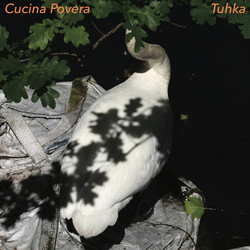 Tuhka 