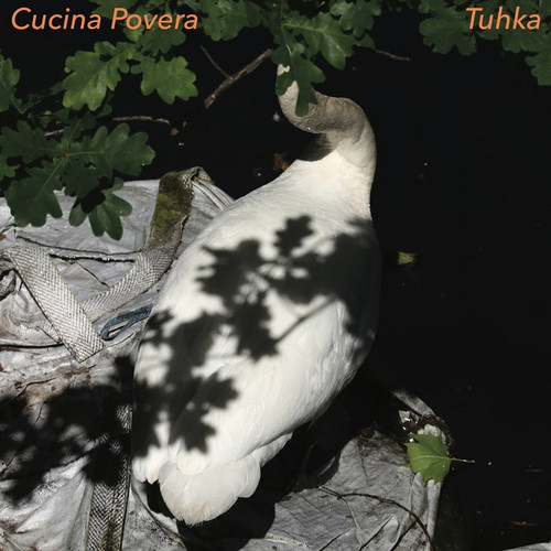 Tuhka 