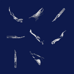 Memory Fragments