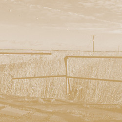 Long Drove 