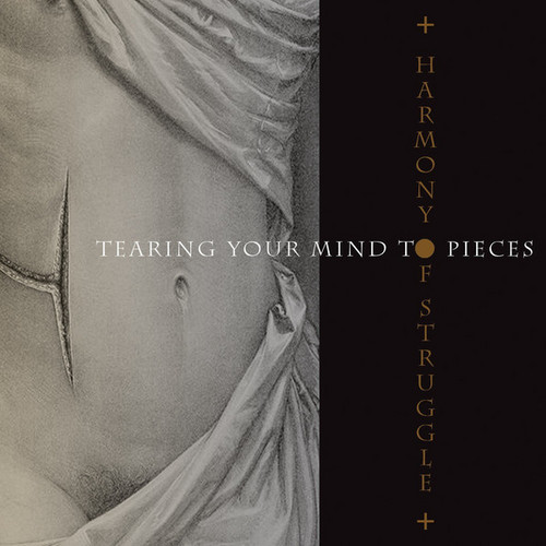 Tearing Your Mind To Pieces