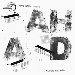 Astro-Noetic Chiasm X