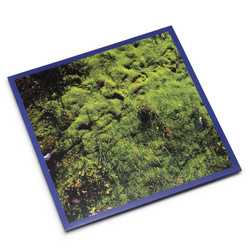 Mt. Hadamard National Park 