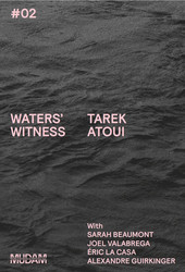 Waters' Witness (Book)