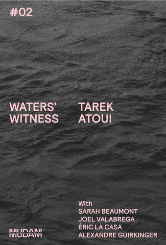 Waters' Witness (Book)