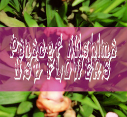 USB Flowers
