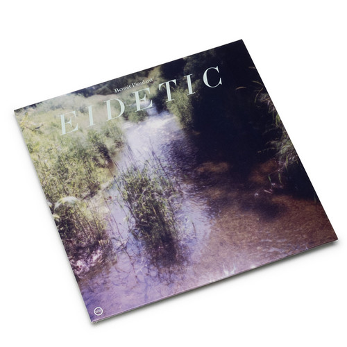 Eidetic