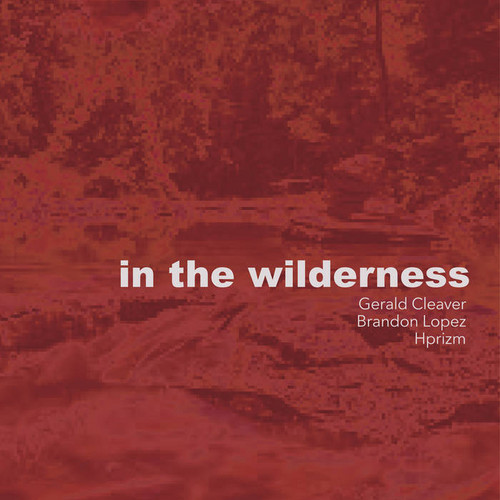 In The Wilderness 