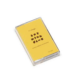 11 schegge. musica italiana avventurosa 