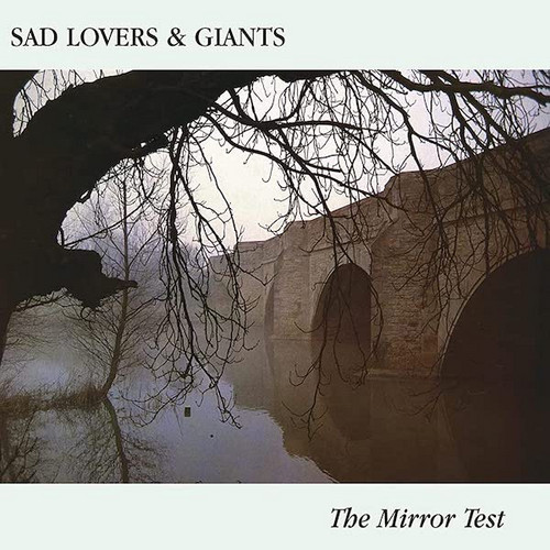 The Mirror Test