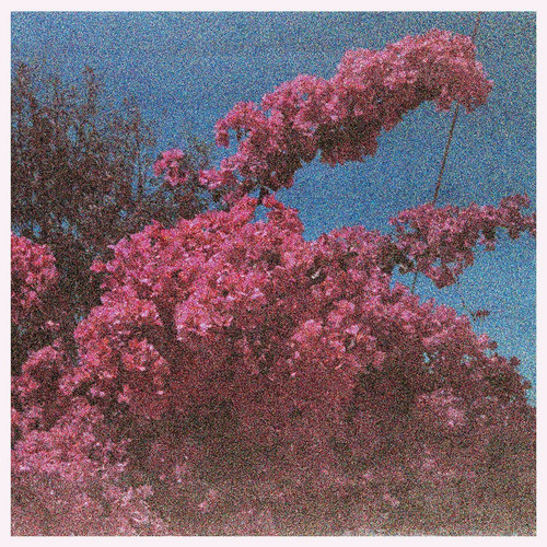 Picture a Frame