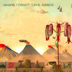 Night​-​Time Birds 