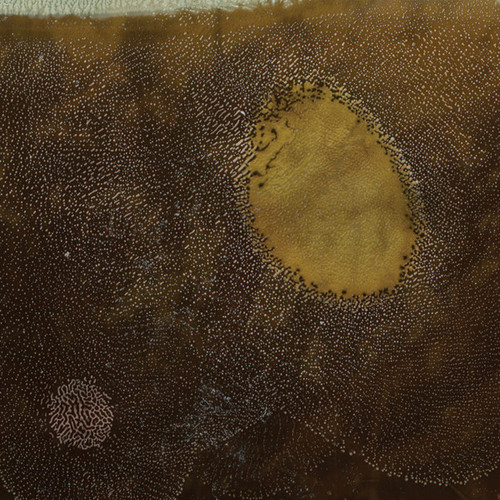 A Floor, Walls, and a Ceiling