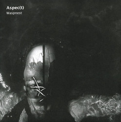 Waspnest
