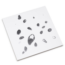 Untitled White Album