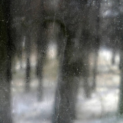 Hope For The Trees / Blodeuwedd 