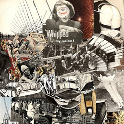 Whipped By Noise