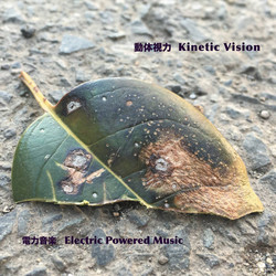 Kinetic Vision 