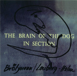 The Brain Of The Dog In Section