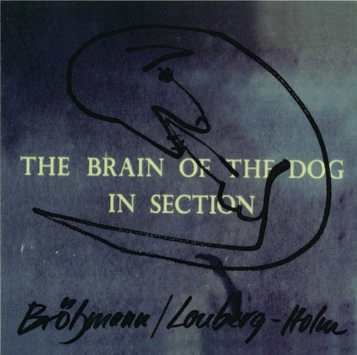 The Brain Of The Dog In Section