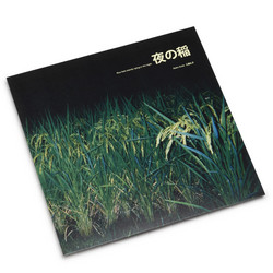 Rice Field Silently Riping In the Night