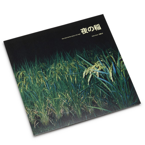 Rice Field Silently Riping In the Night