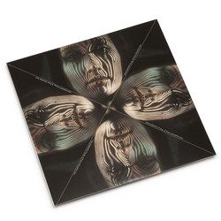 Holography