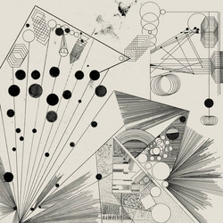 Murmuration Without End 