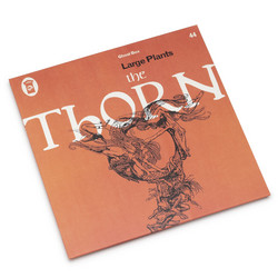 The Thorn