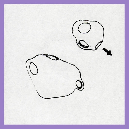 Duo