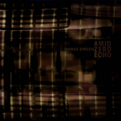 Amid Zero Echo