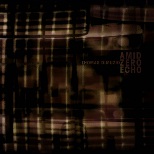 Amid Zero Echo