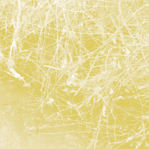 Cursory Asperses