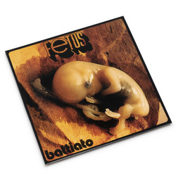 Fetus