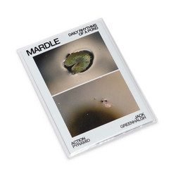 Mardle: Daily Rhythms of a Pond 